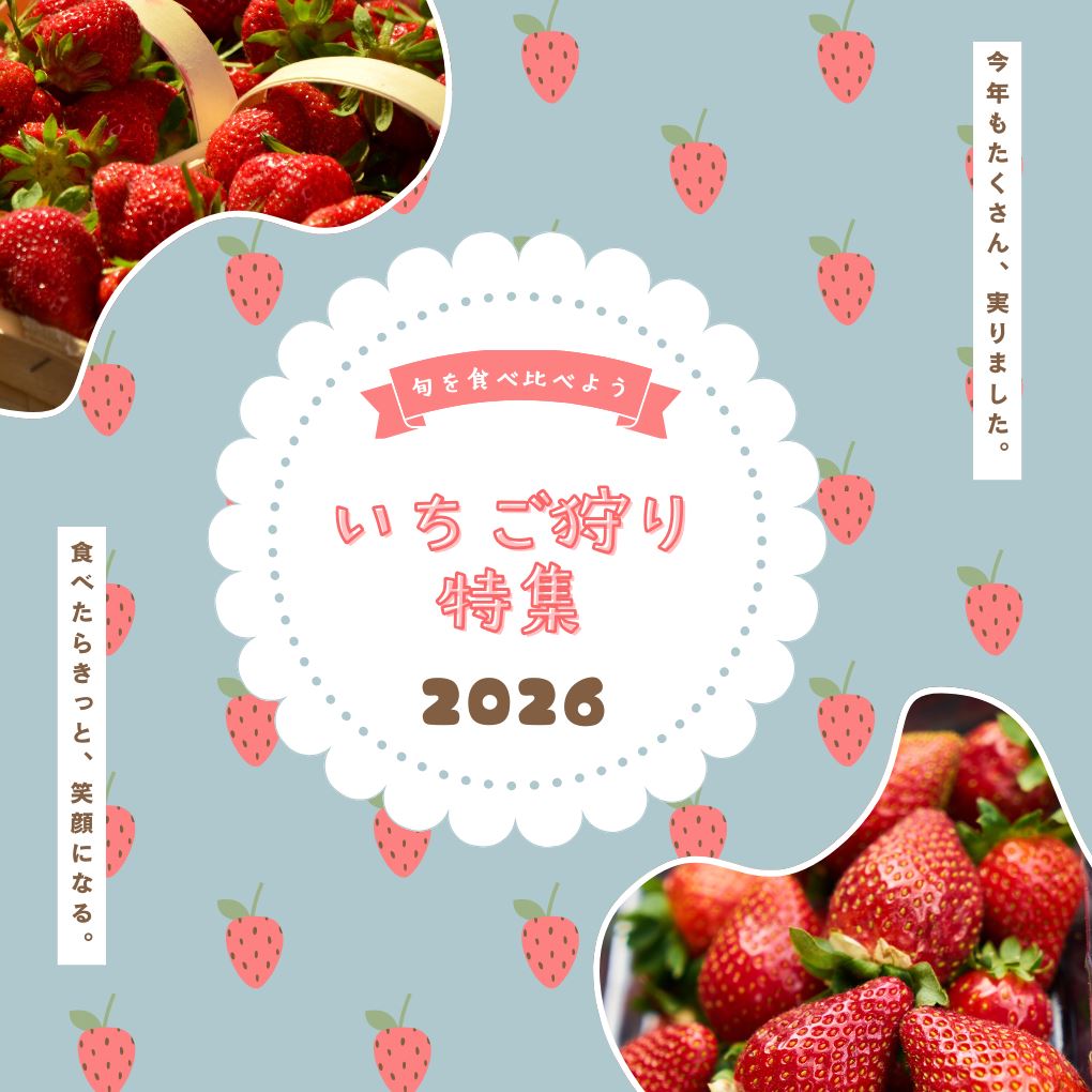 甘い季節がやってきた。和歌山のいちご狩り特集