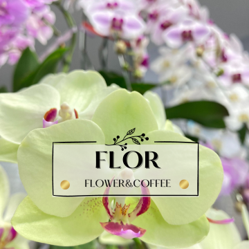 和歌山県田辺市湊のフロール（flor）は、お花のギフトやアレンジメントも人気！特別な贈り物にぴったりのフラワーショップ兼コーヒースタンドです。