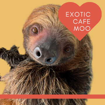 Exotic cafe Moo　カフェ｜飲食｜動物｜紹介画像