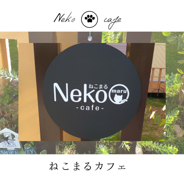 Neko◯cafe｜橋本市｜カフェ｜モーニング｜ランチ｜保護猫