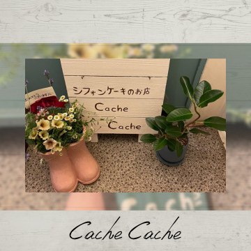 Cache Cache｜和歌山市｜シフォンケーキ｜テイクアウト｜