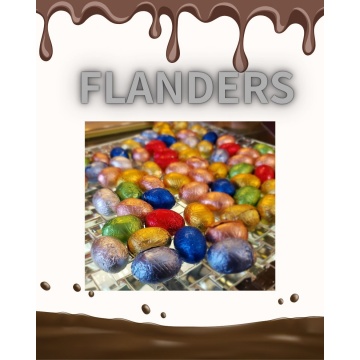 フランダース紹介画像